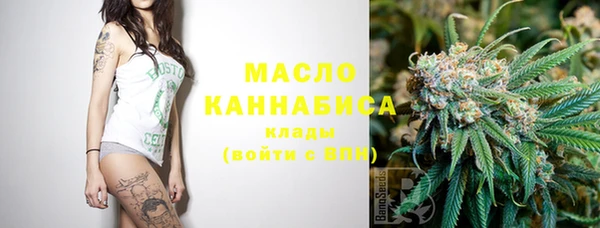ECSTASY Вяземский