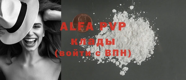 ECSTASY Вяземский