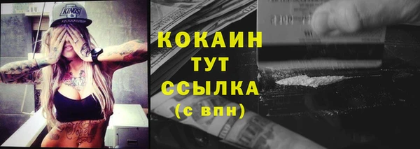 шишки Вязники