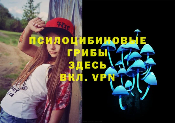 ECSTASY Вяземский