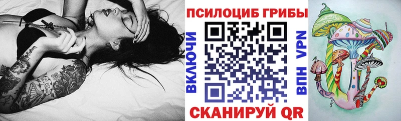 купить наркоту  Иланский  blacksprut сайт  Псилоцибиновые грибы мицелий 